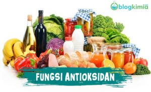 Fungsi Antioksidan dan Manfaatnya untuk Kesehatan Tubuh