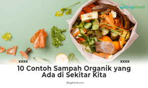 10 Contoh Sampah Organik yang Ada di Sekitar Kita