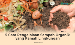 5 Cara Pengelolaan Sampah Organik yang Ramah Lingkungan