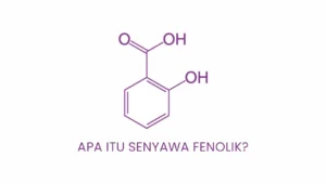 Apa Itu Senyawa Fenolik