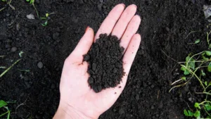 Pemakaian-bahan-kimia-untuk-memperbaiki-struktur-tanah-berguna-untuk-meningkatkan-kualitas-tanah-yang-buruk-dan-meningktakan-nutrisi-tanah